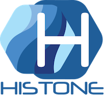 HISTONE INFORMATIQUE